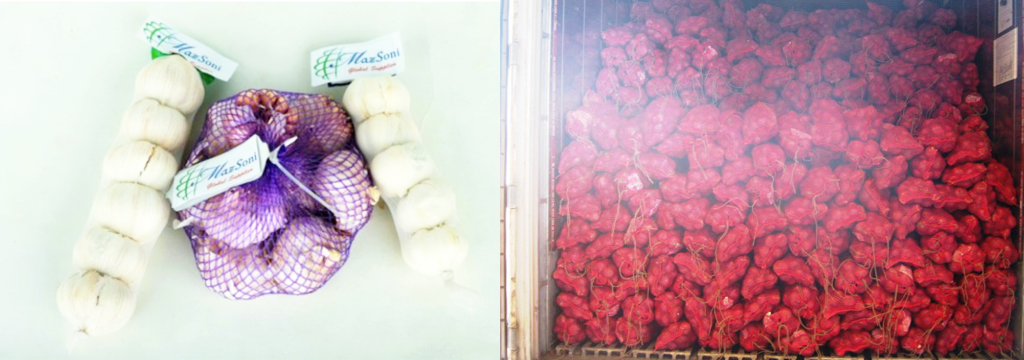 Fresh Garlic Bulbs and Mesh Packaging